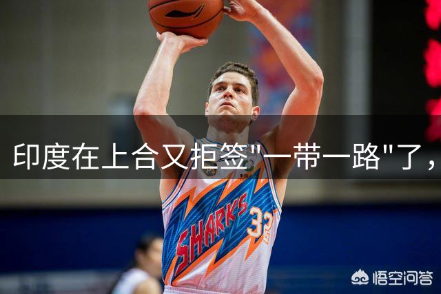 印度在上合又拒签"一带一路"了，八年次次不落！但这次中方压根没搭理，反手就把中吉乌铁路隧道贯通了