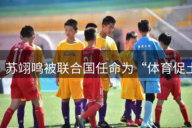 苏翊鸣被联合国任命为“体育促土地”大使